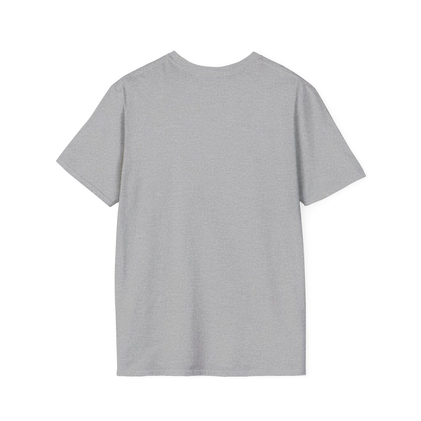 Unisex Softstyle T-Shirt-I DON'T GET PAID to be perfect