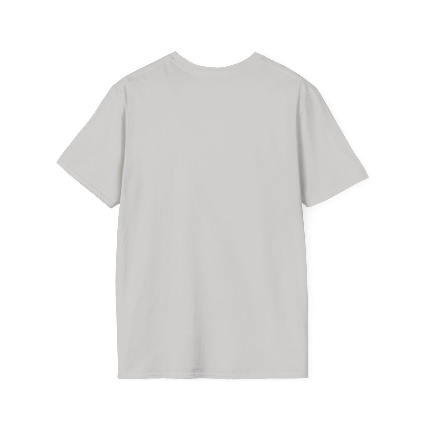 Unisex Softstyle T-Shirt-I DON'T GET PAID to be perfect