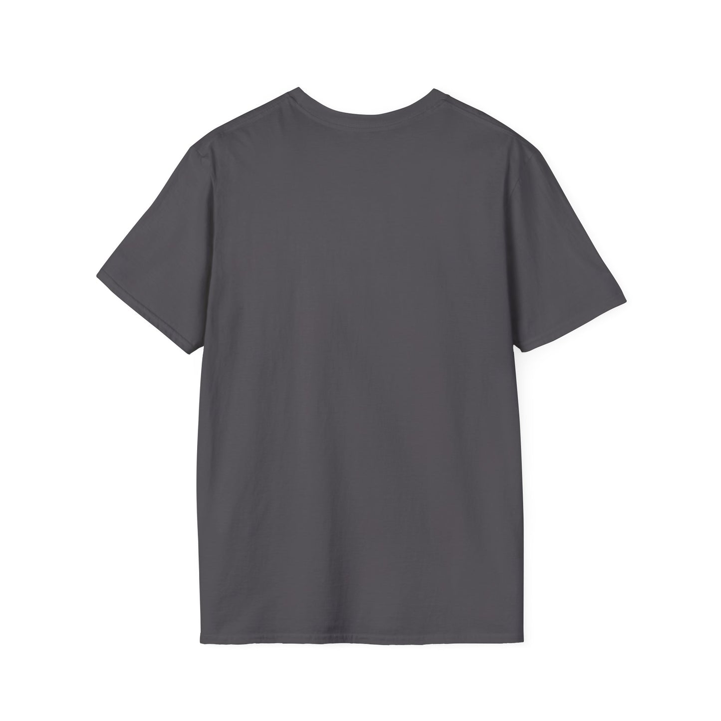 Unisex Softstyle T-Shirt-I DON'T GET PAID to be perfect
