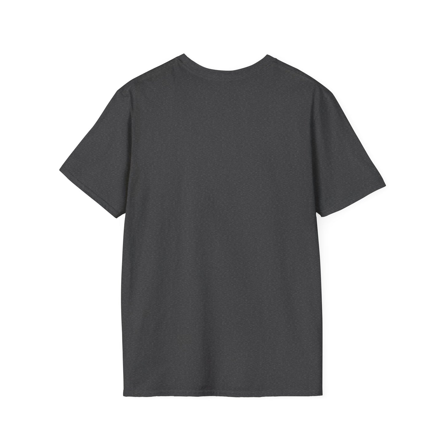 Unisex Softstyle T-Shirt-I DON'T GET PAID to be perfect